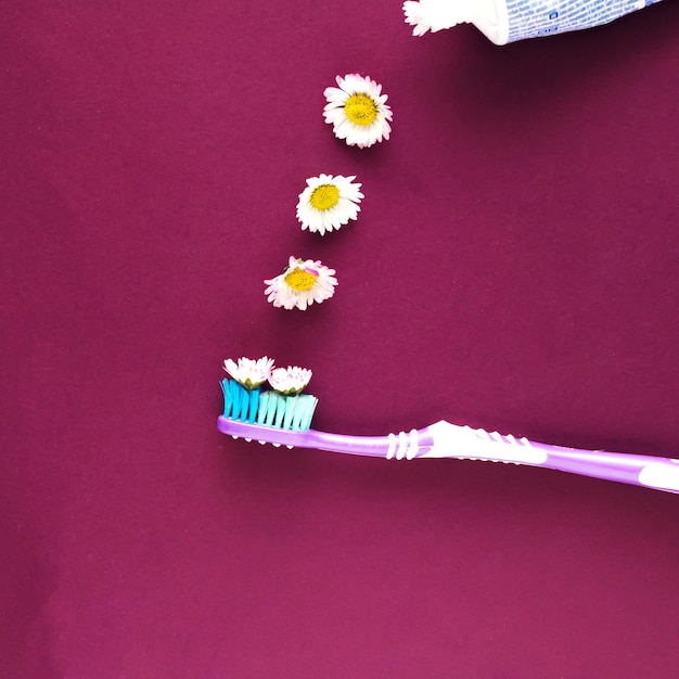 Foto pasta de dientes de la que salen flores primaverales y caen sobre el cepillo sobre fondo morado