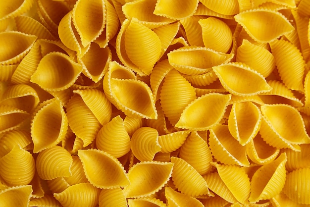 Pasta italiana de conchiglioni