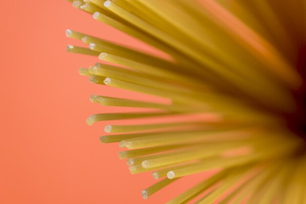 Foto pasta larga de espagueti amarilla sobre fondo rosa pasta italiana amarilla comida italiana y concepto de cocina espacio de copia