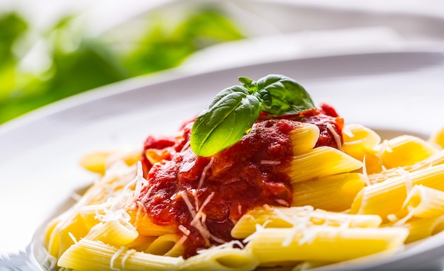 Pasta Penne con Salsa de Tomate Boloñesa, Queso Parmesano y Albahaca. Comida mediterránea cocina italiana.