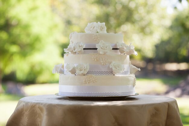 Pastel de bodas en la mesa en el parque