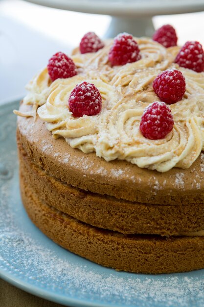 Pastel con crema batida y bayas en placa