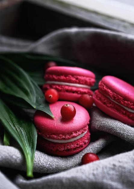 pasteles de macarrones rosas con bayas sobre fondo gris