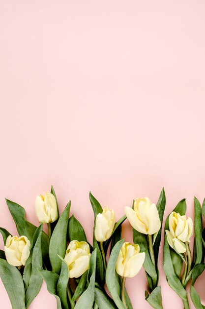 Pastellfarbener und gelber Tulpenblumenstrauß auf rosafarbenem Hintergrund, flach liegend, Ansicht von oben, Valentinstagshintergrund f