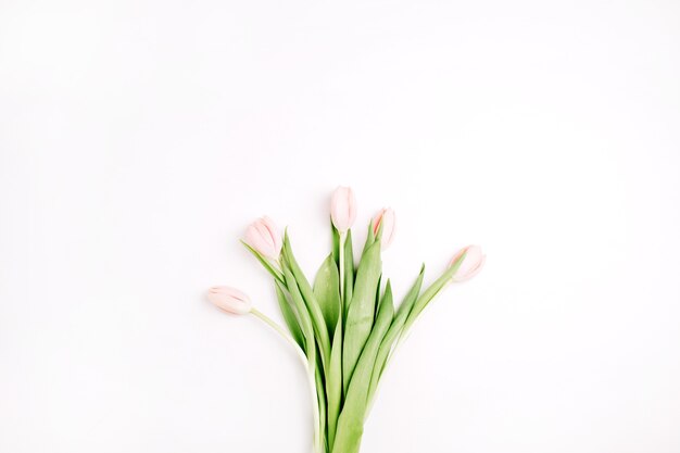 Pastellrosa Tulpe blüht Blumenstrauß lokalisiert auf weißem Hintergrund. Flache Lage, Ansicht von oben