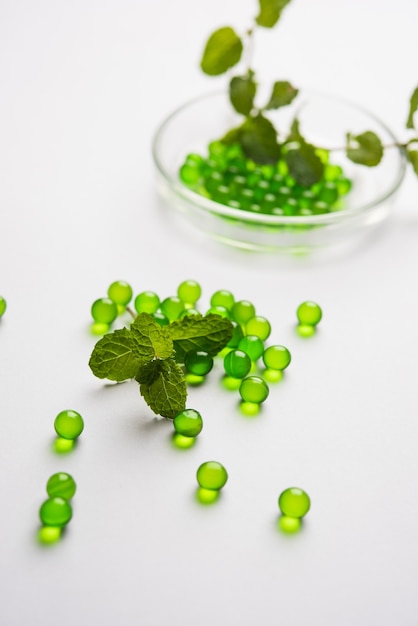 Pastillas de pudina o menta con hojas frescas. Es una medicina ayurvédica para la indigestión, los gases y la acidez.