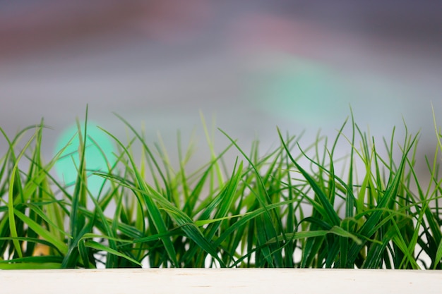 Foto pasto verde en una caja