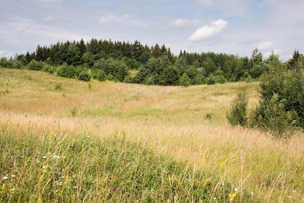 Pastorale Dorflandschaft in Weißrussland