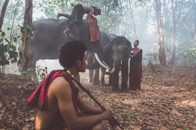 Pastores tailandeses en la selva con elefantes. Momentos históricos del estilo de vida de la cultura de Tailandia