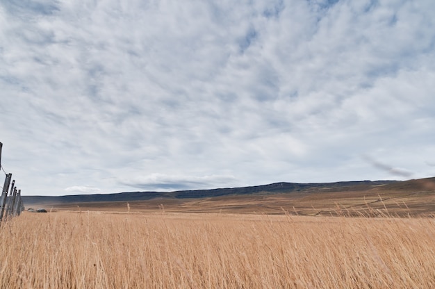 Patagonia Steppen Landschaft Argentinien