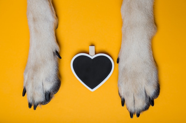 Patas de cachorro no chão ao lado do quadro de giz em forma de