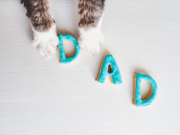 Patas de gato adorável e a palavra paizinho