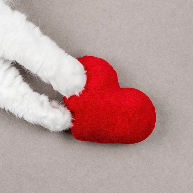 Patas de gato y corazón rojo sobre un fondo gris Lindo concepto de amor de mascotas Vista superior espacio de copia minimalista