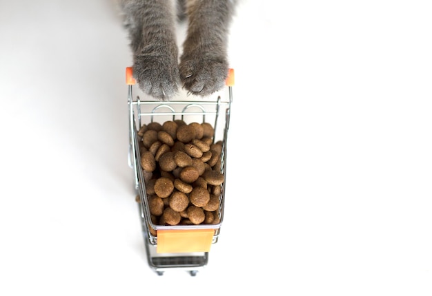 Foto patas de gato sosteniendo una canasta de comida