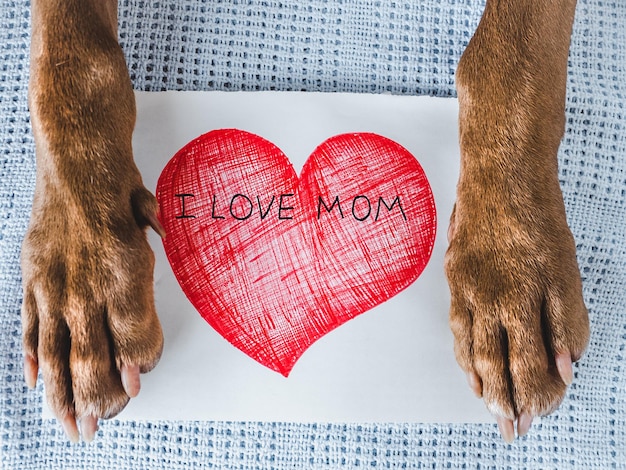 Patas de perro y una tarjeta con palabras de amor para mamá