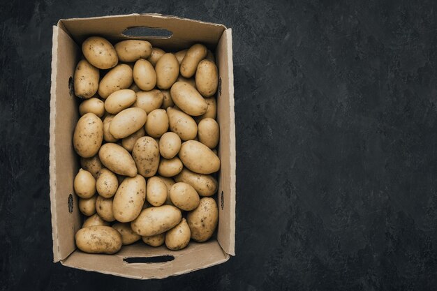 Patata Patatas orgánicas crudas frescas en caja de papel sobre fondo de piedra oscura