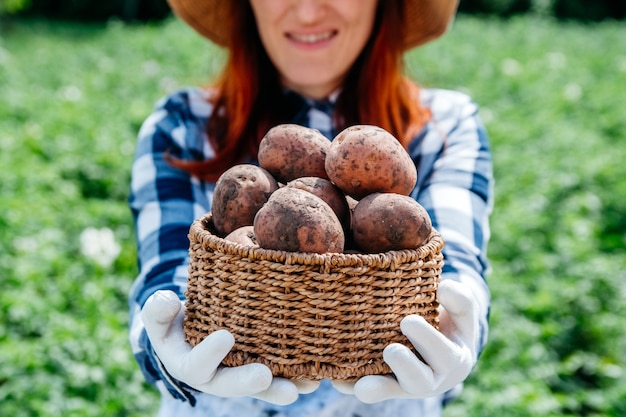 Patatas en una canasta de mimbre en manos de una agricultora en el contexto de follaje verde.