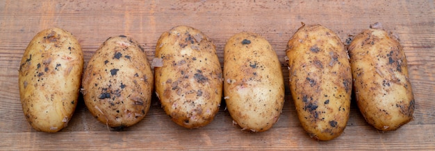 Patatas frescas excavadas en el suelo. Cosecha otoñal de papas.