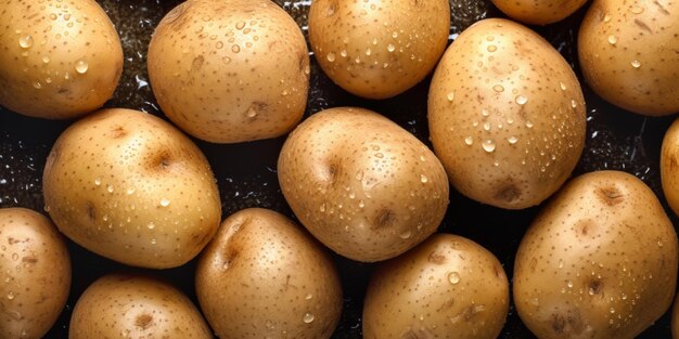 Patatas frescas con gotas de agua