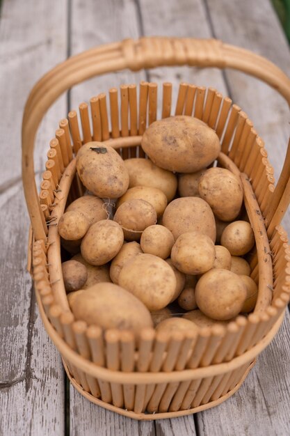 Patatas nuevas en una cesta