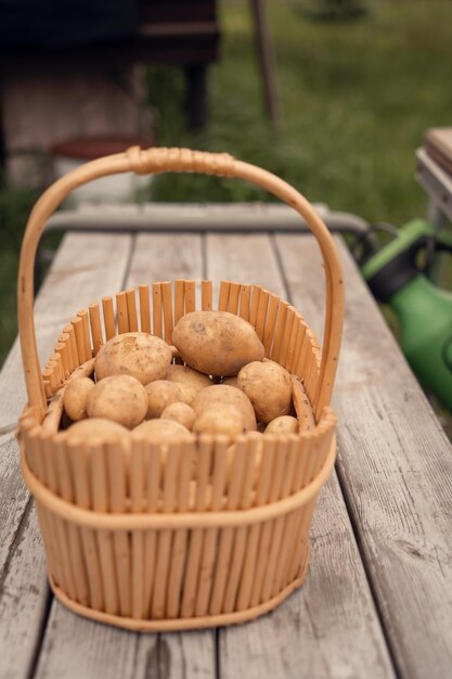 Patatas nuevas en una cesta