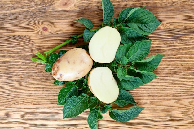 Patatas recientemente maduradas lavadas en una mesa de madera