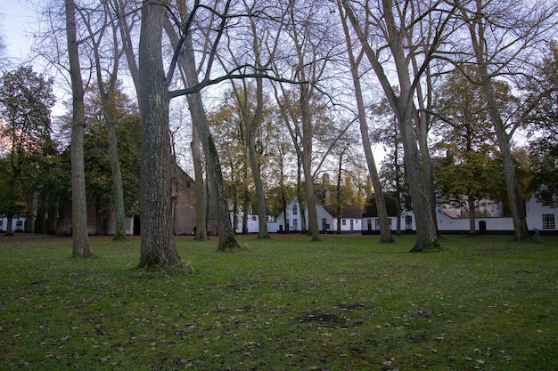 Patio de begijnhof en brujas bélgica