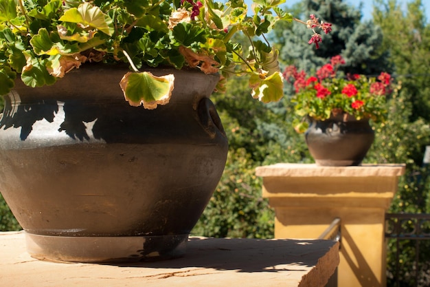 Patio de la casa luxtury.