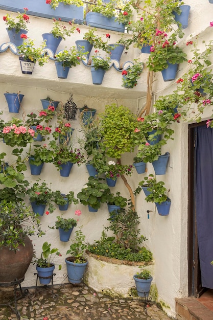 Pátio de Córdoba na primavera Córdoba Espanha