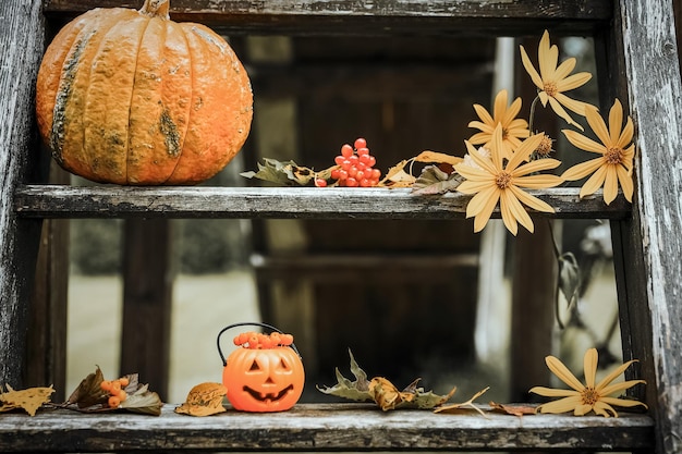 Pátio de design de halloween com folhas secas de outono linda varanda de madeira da casa com abóboras no outono