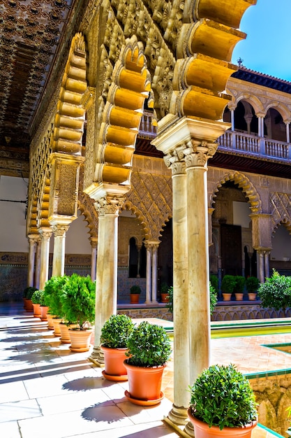 Patio de las doncellas em alcázar de sevilha