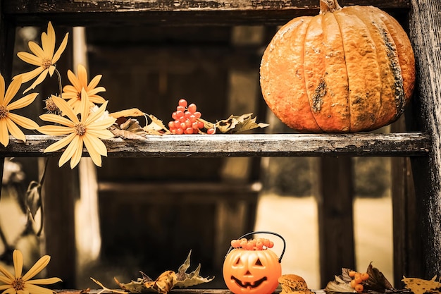 Patio de diseño de Halloween con hojas secas de otoño Hermoso porche de madera de la casa con calabazas en otoño