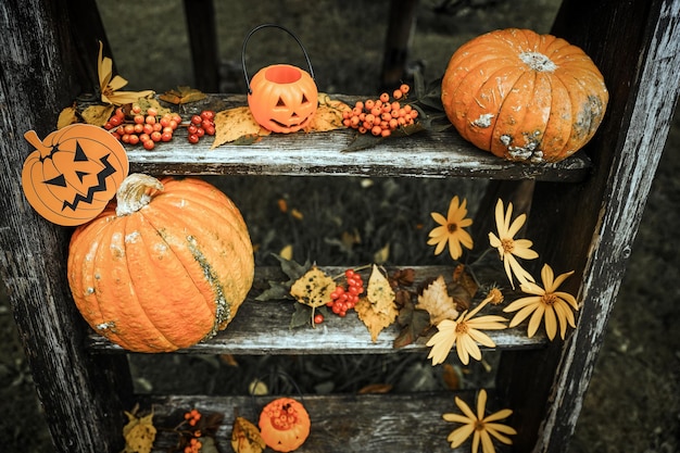 Patio de diseño de Halloween con hojas secas de otoño Hermoso porche de madera de la casa con calabazas en otoño