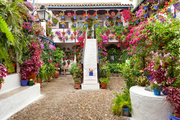 Patio con flores decoradas Patio Fest España Europa