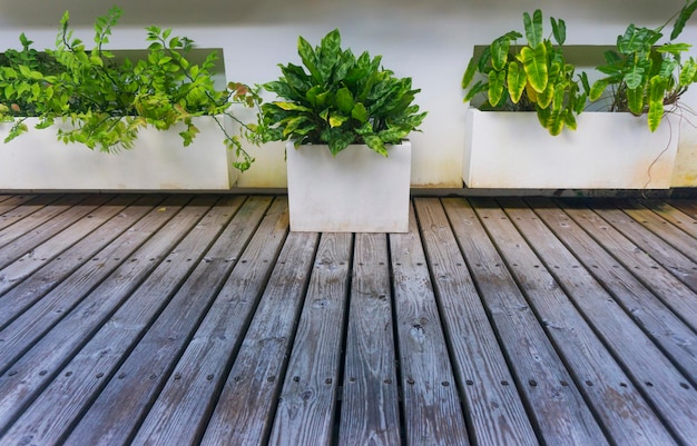 Patio de jardín con deck de madera y plantas tropicales