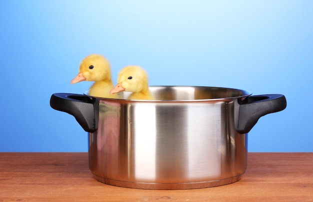 Patito en una sartén en una mesa de madera sobre un fondo azul