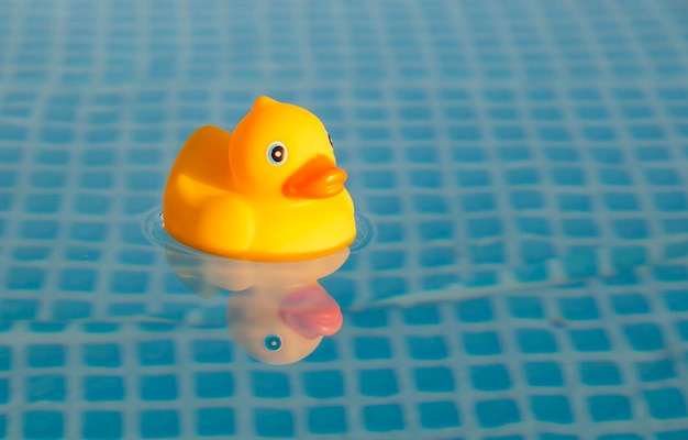Pato amarillo con un pico rojo Juguete de primer plano Un símbolo de natación Juego divertido de amistad de la infancia