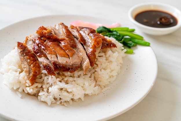 Pato asado sobre arroz