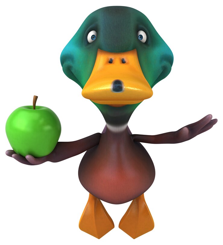Foto pato divertido