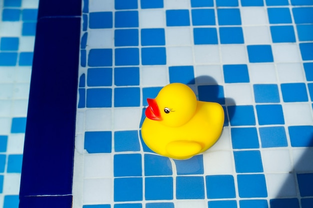 Un pato de goma amarillo en el agua de una piscina