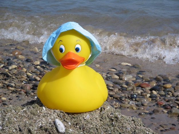 Pato de goma amarillo en la orilla del mar