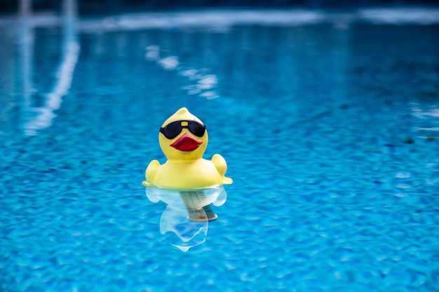 Pato de goma divertido que flota en una piscina