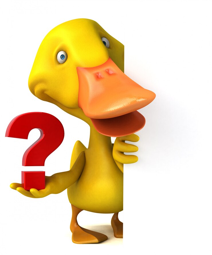 Foto pato ilustrado divertido con un signo de interrogación