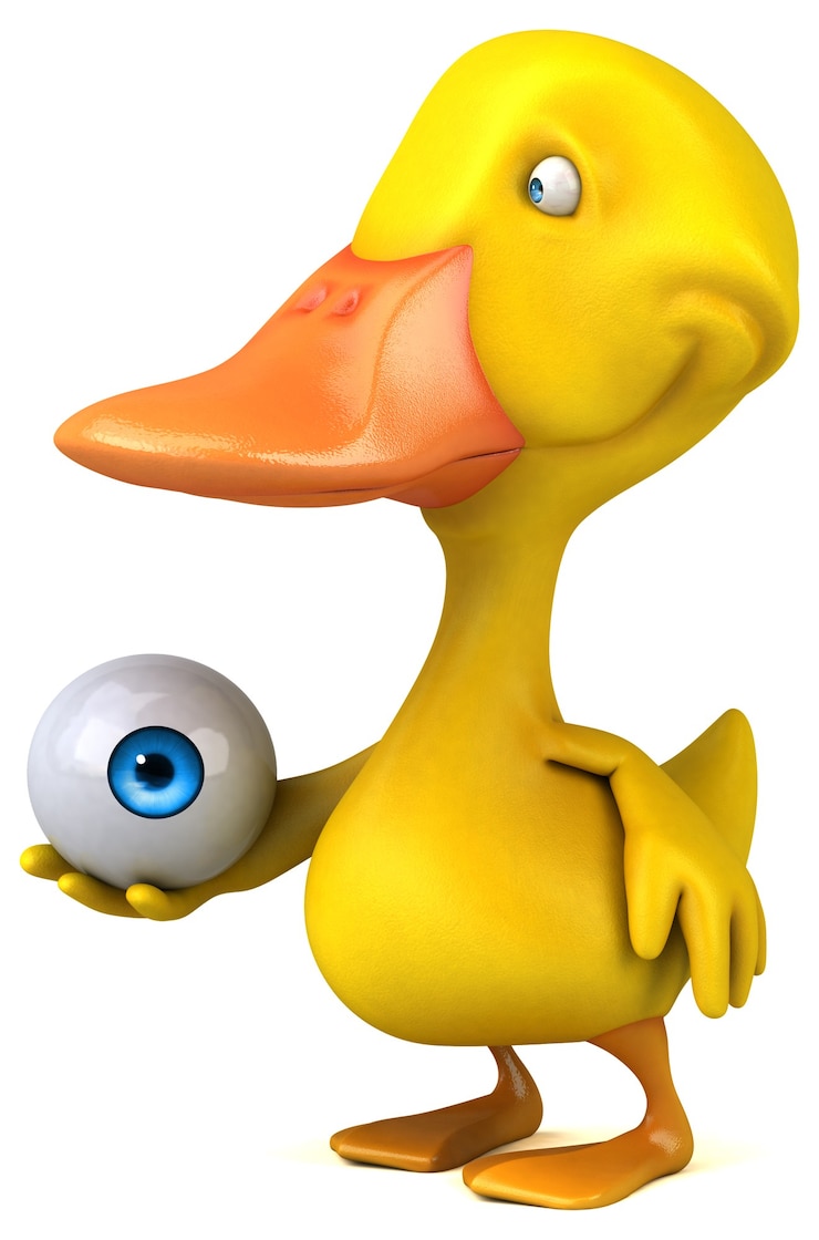 Foto pato