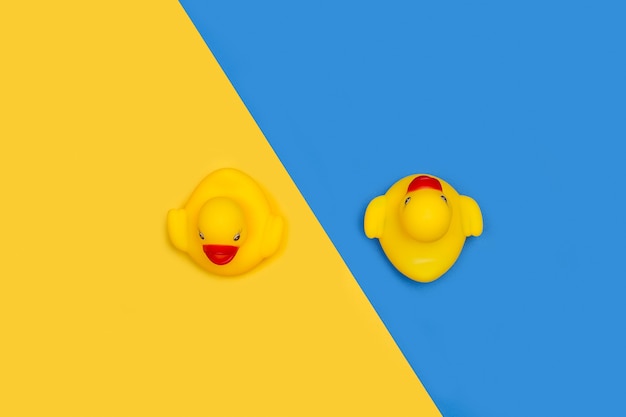 Patos de brinquedo de borracha amarela isolados em amarelo e azul