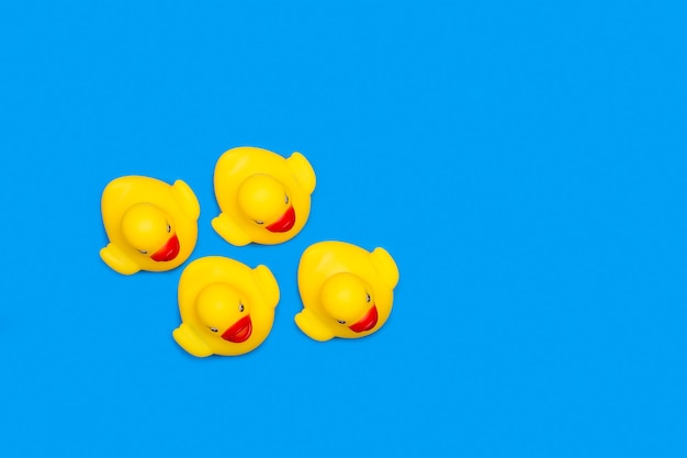 Patos de juguete de goma amarillo aislados en azul