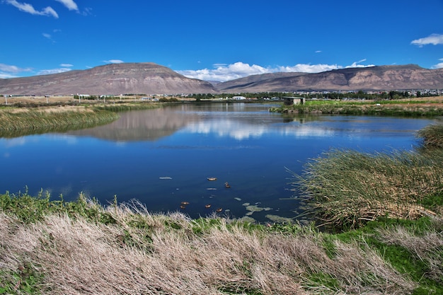 Patos na Laguna Nimez Reserva em El Calafate, na Patagônia Argentina