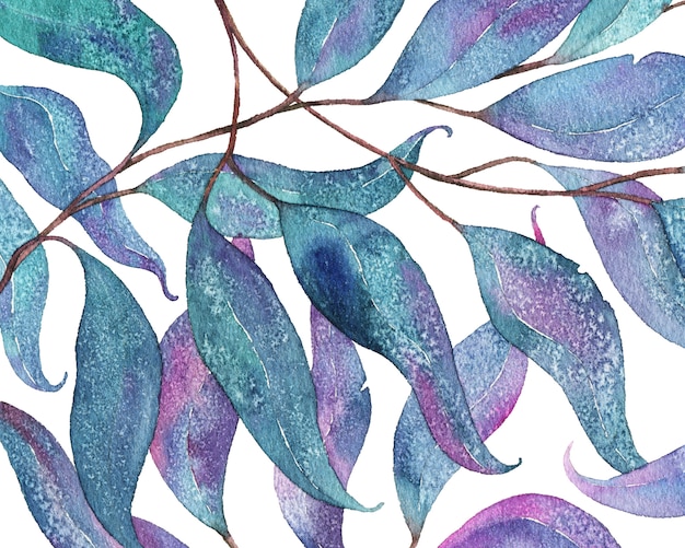 Patrón de acuarela abstracta con hojas de eucalipto