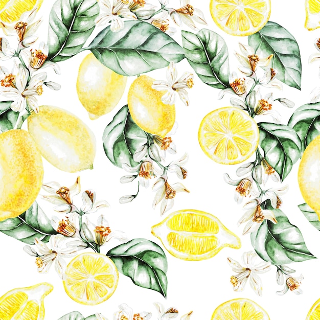 Patrón de acuarela de colores con frutas y flores de limón. Ilustraciones.