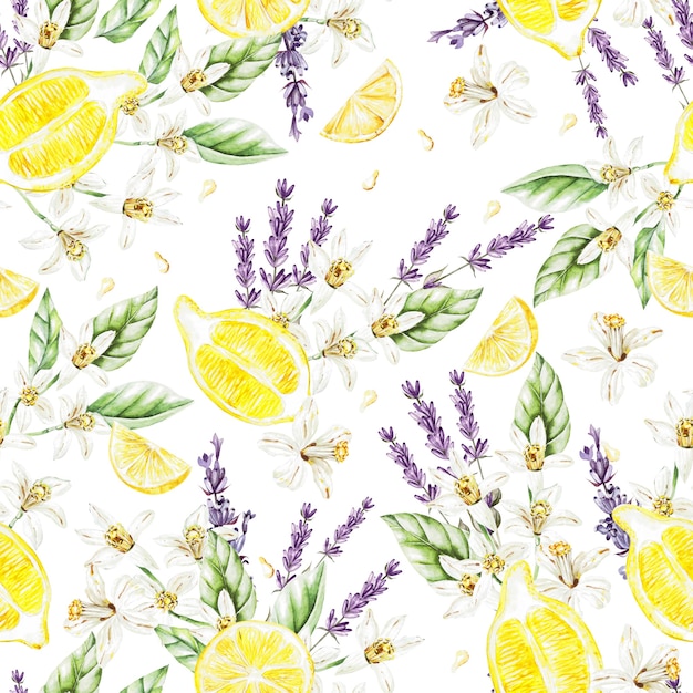 Patrón de acuarela de colores con frutas y flores de limón, lavanda. Ilustraciones.
